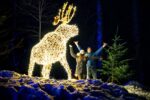 Winterleuchten - Waldweihnacht Skywalk Scheidegg
