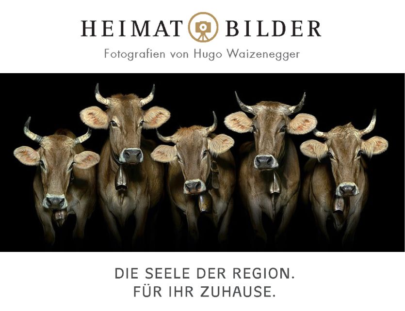 Heimat Bilder - Hugo Waizenegger