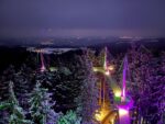 Ilumination - Waldweihnacht Skywalk Scheidegg